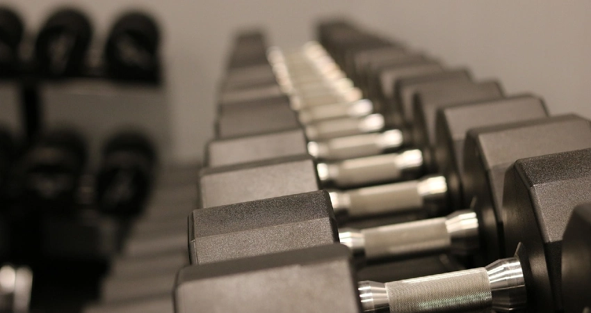 Keep Your garage gym equipment organized also at commercial gym