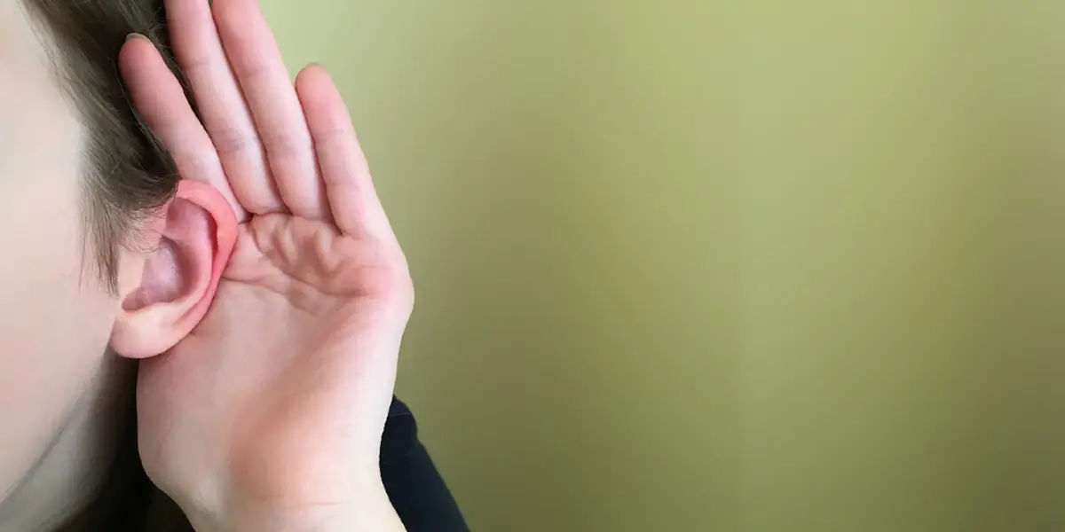 Listen to your garage door when it opens and closes