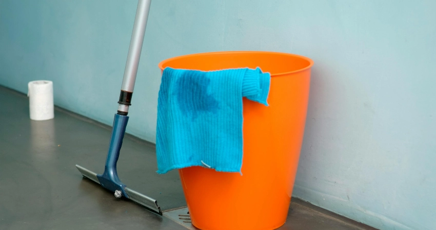 Mop, cloth, and pail of water for cleaning