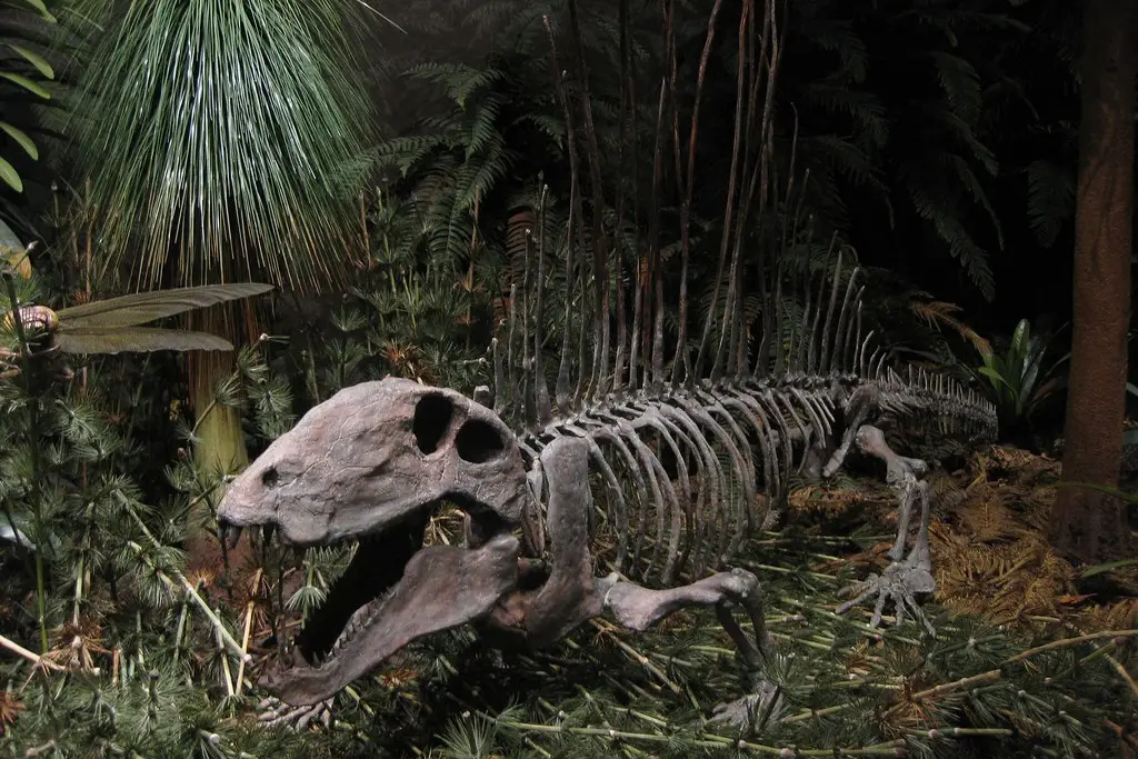 Sam Noble Museum of Natural History