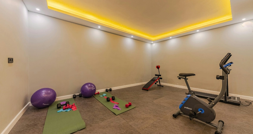 Stone flooring in a garage gym and gym equipment